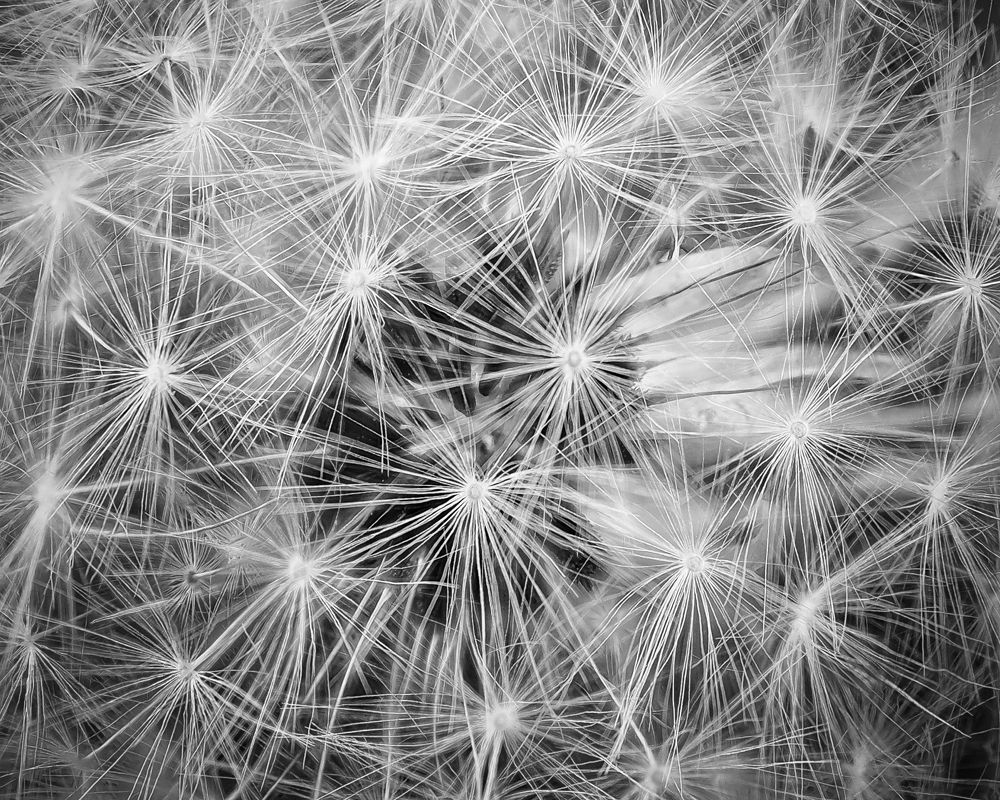 Photograph by Андрей Кузин