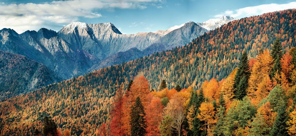 Photograph by Илья Лисаускас