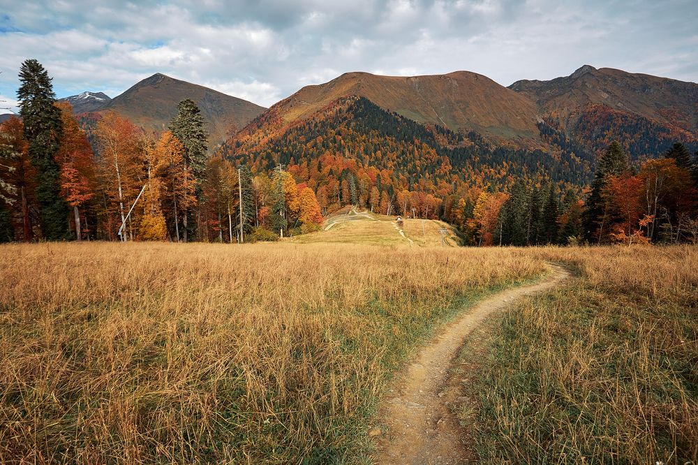 Приют Пихтовый