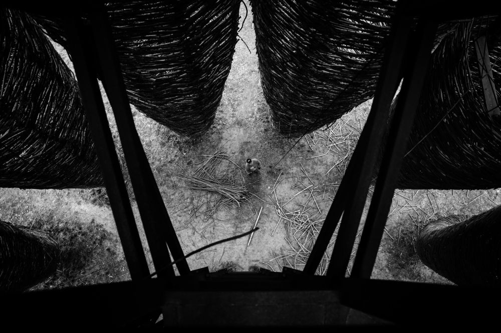 Photograph by Александр Яновский