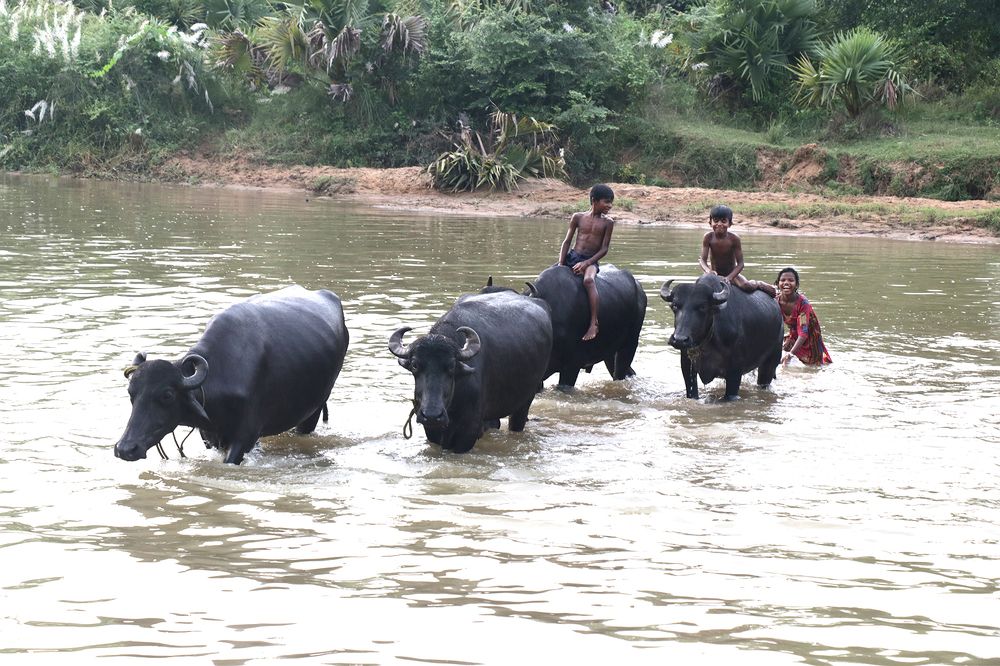 Photograph by PRIANKO MOITRA