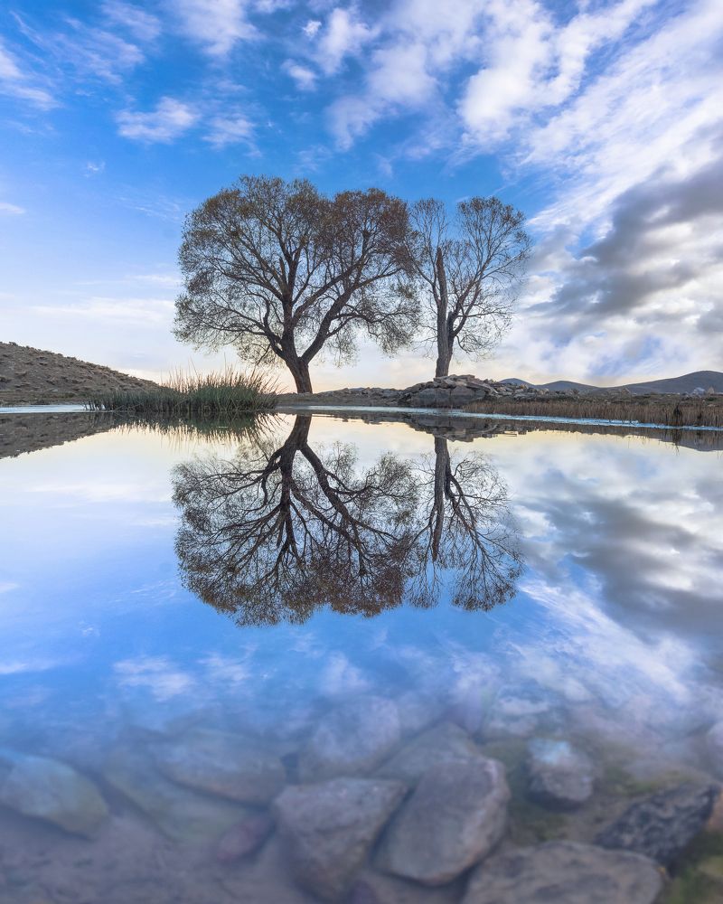 Photograph by majid arab