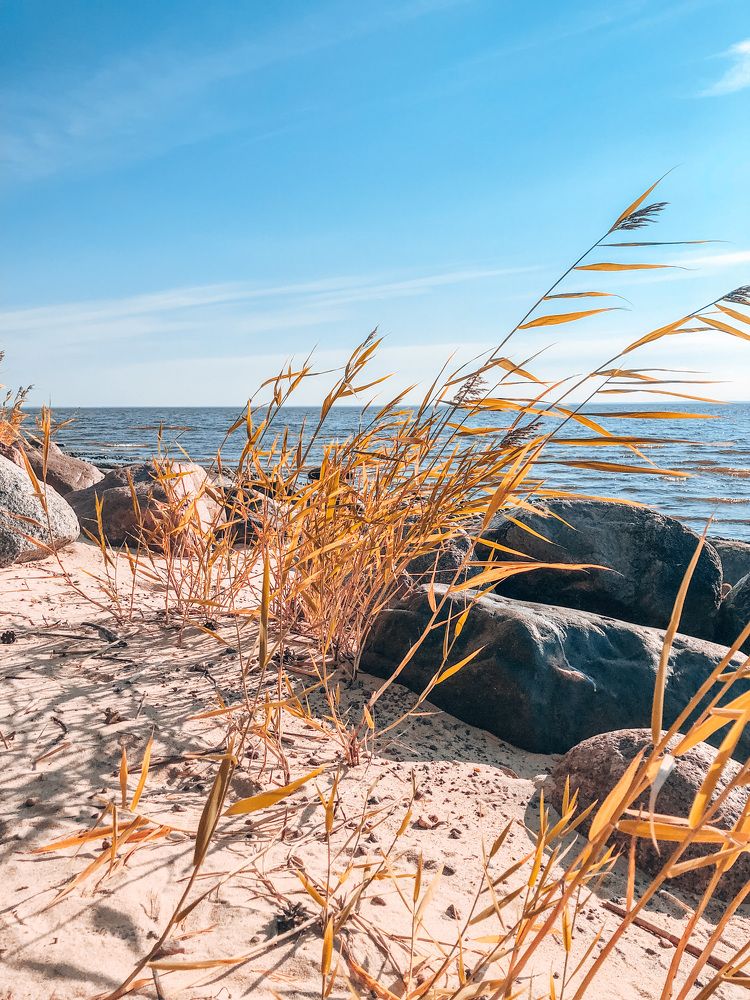 Photograph by Алена Воронова