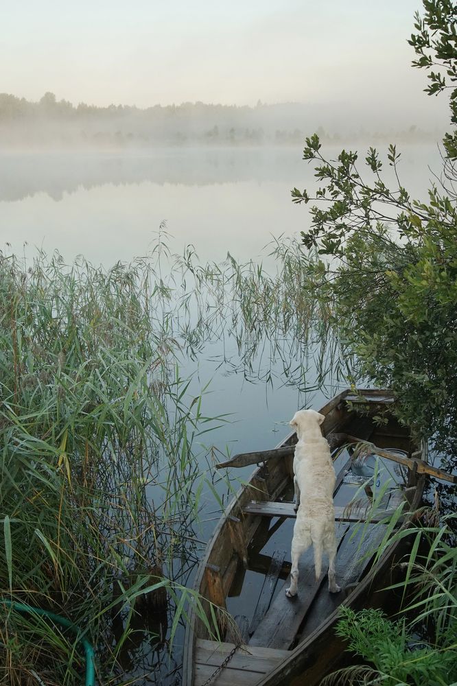 Photograph by Лилия