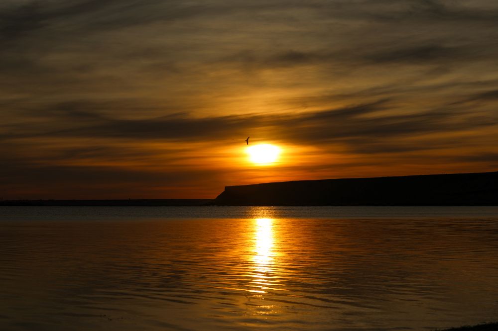 Photograph by Яновский Александр