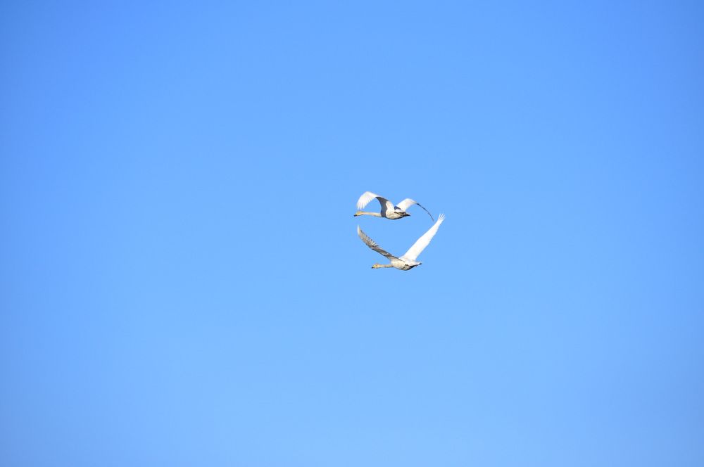 Photograph by Гаврил