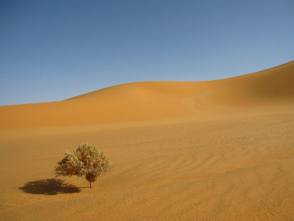 Photograph by  Илья