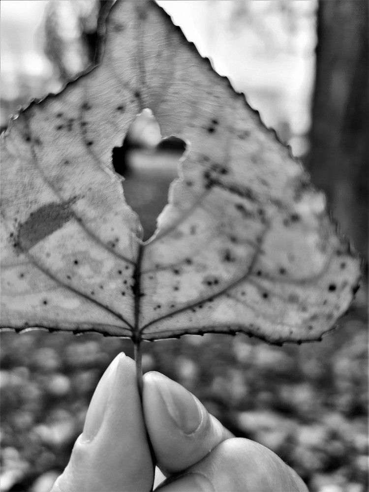 Photograph by Ольга