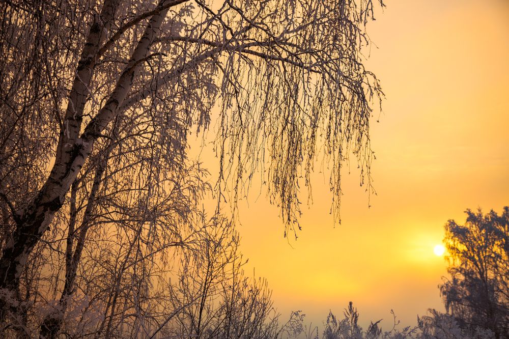 Photograph by Татьяна Афанасьева