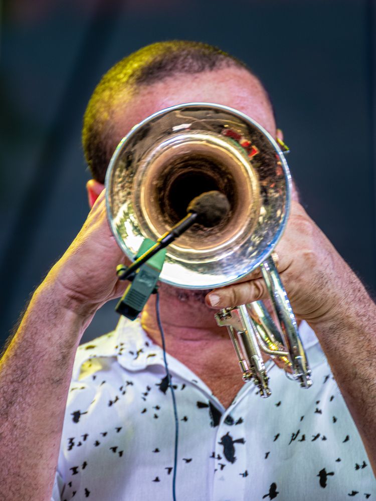 Photograph by Alexandre Chaym