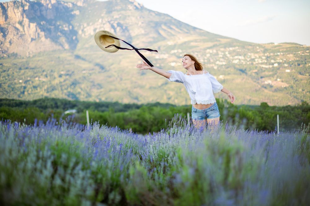 В погоне за мечтой