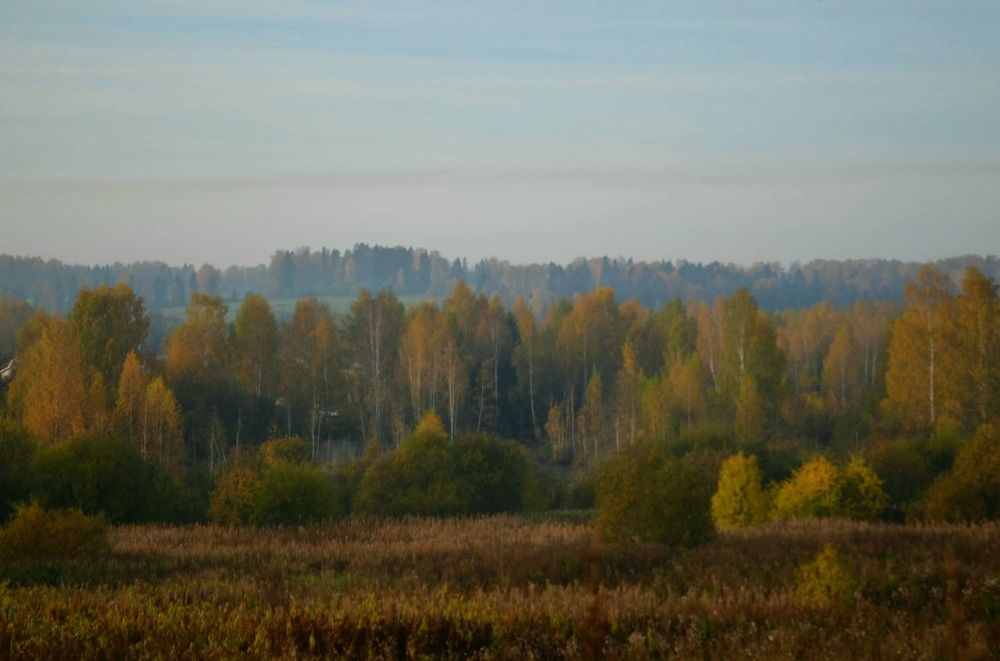 Photograph by Ляйсан