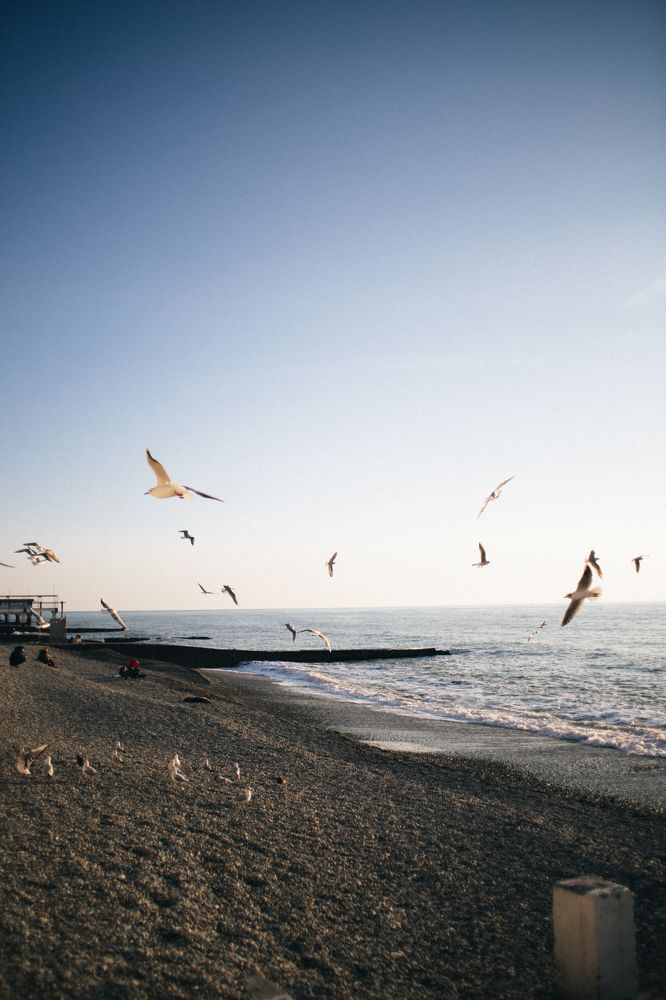 Photograph by Александр Вдовенко