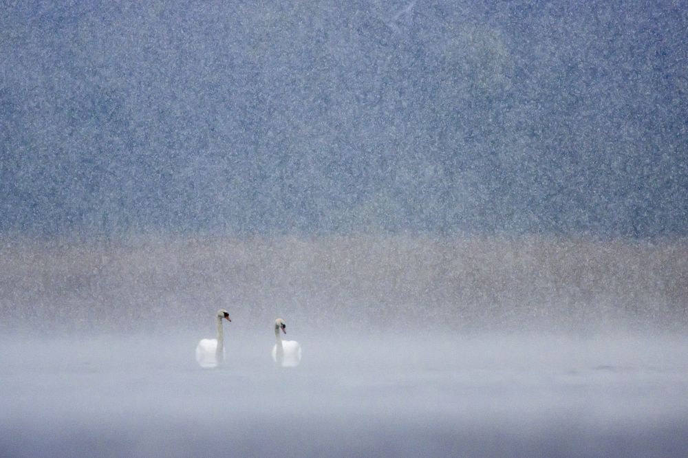 Photograph by Flora Jakab