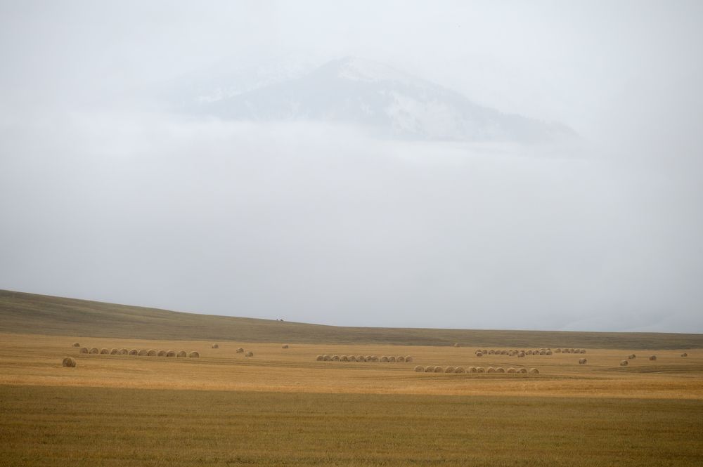 Photograph by Олег Иваницкий