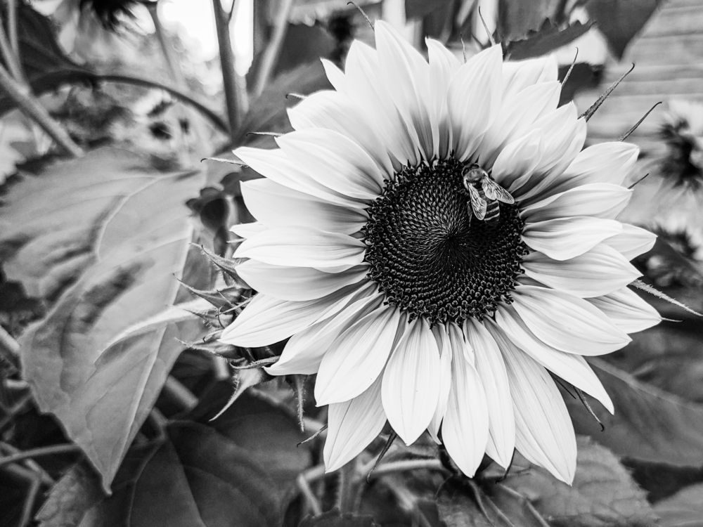 Photograph by Ольга Тюрина