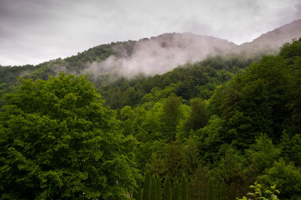 Photograph by Kecskés Beáta