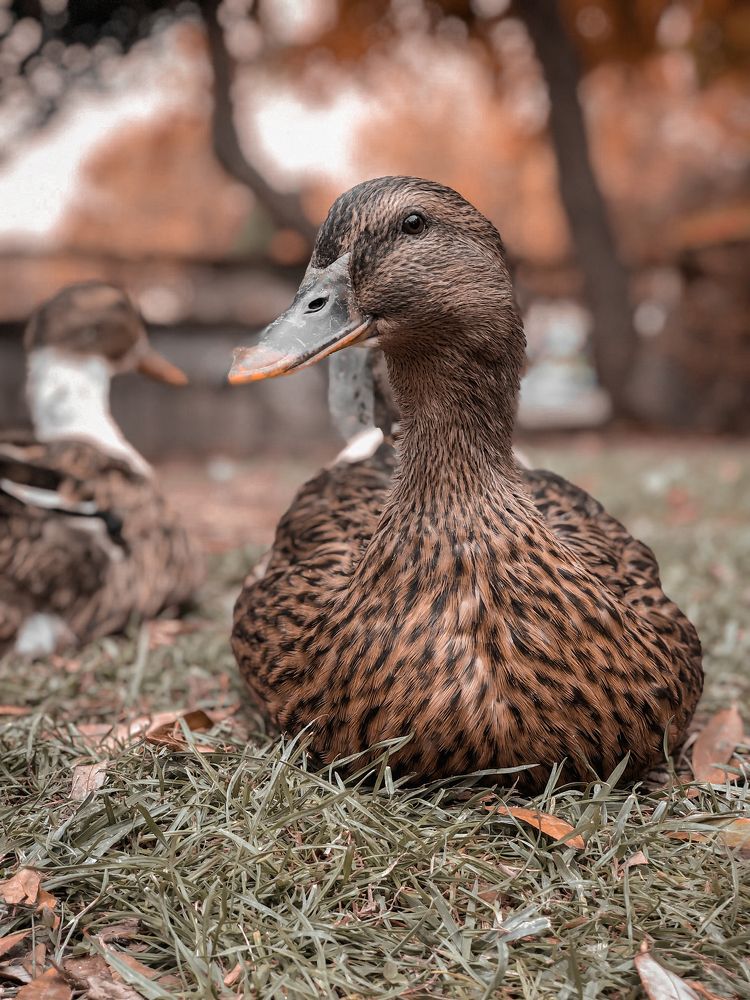 Photograph by mahnaz maleki