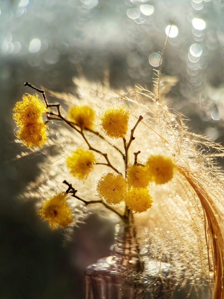 Photograph by Юлия Ледовская