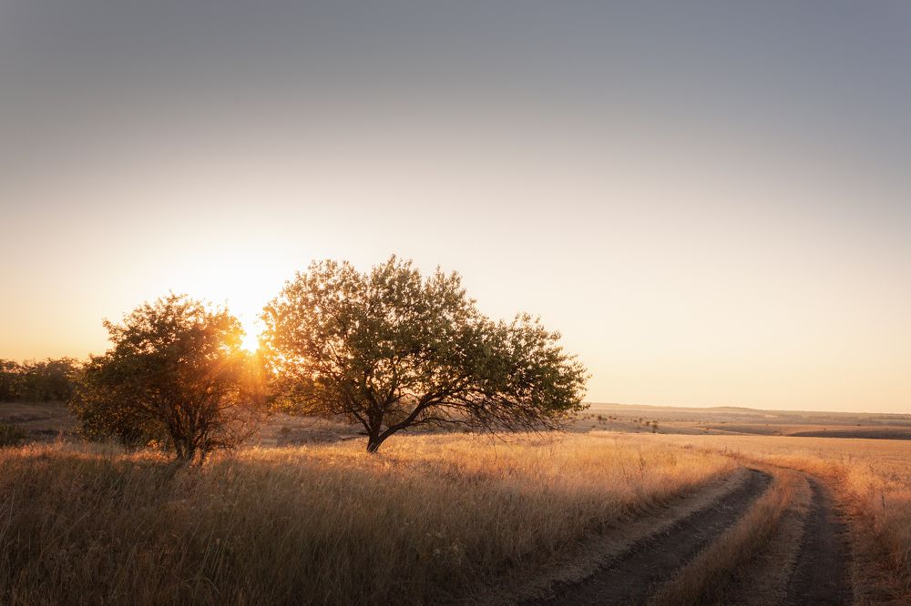 Photograph by Дмитрий Федорченко