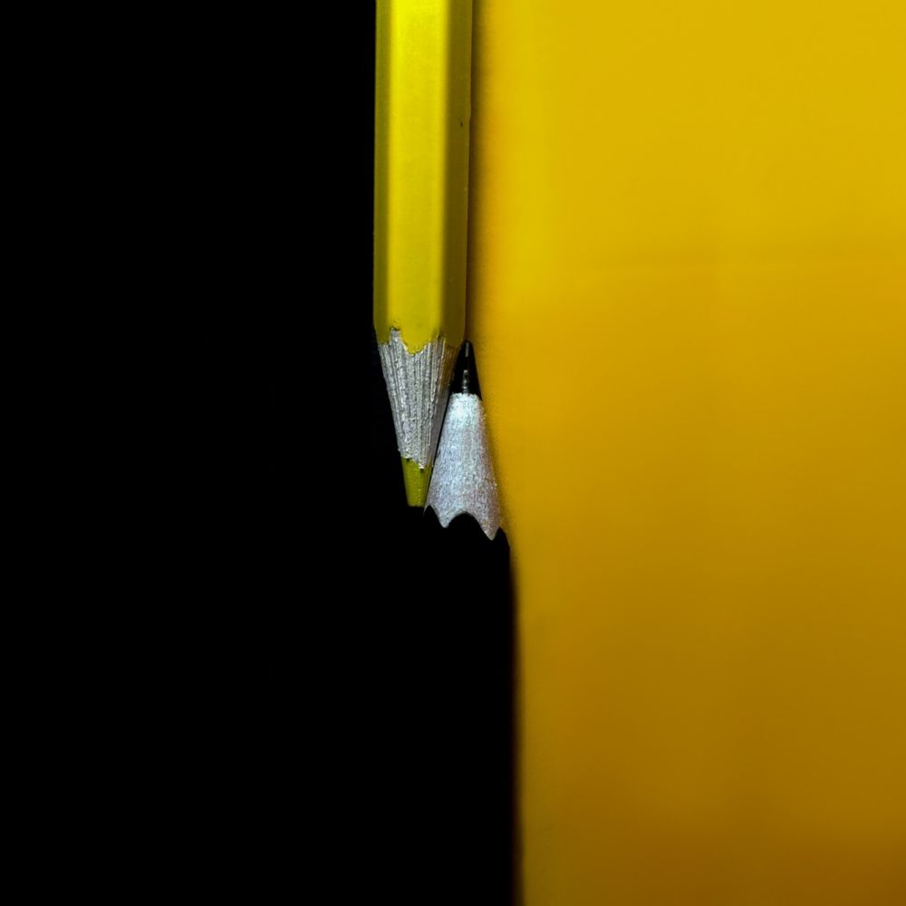 Photograph by Mohammad mahdi Mansouri