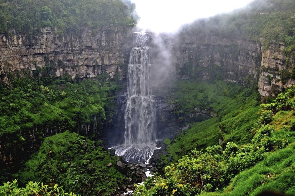 Фотография автора Yako Laverde