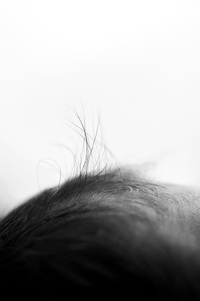 Photograph by Катя Бахарева