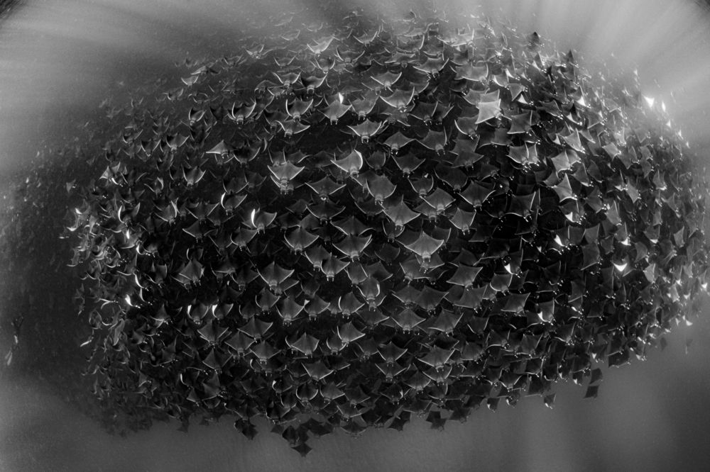 Photograph by Павел Чистяков