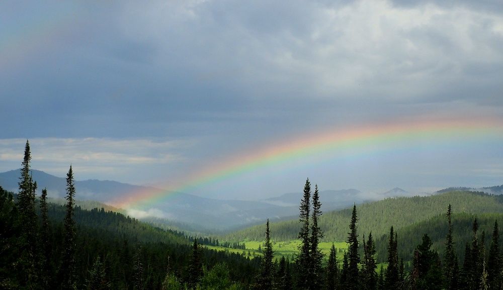 Photograph by Александр Баран