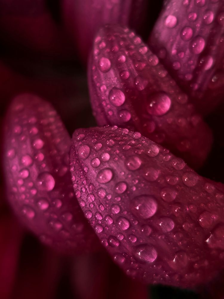 Photograph by Юлия Ледовская