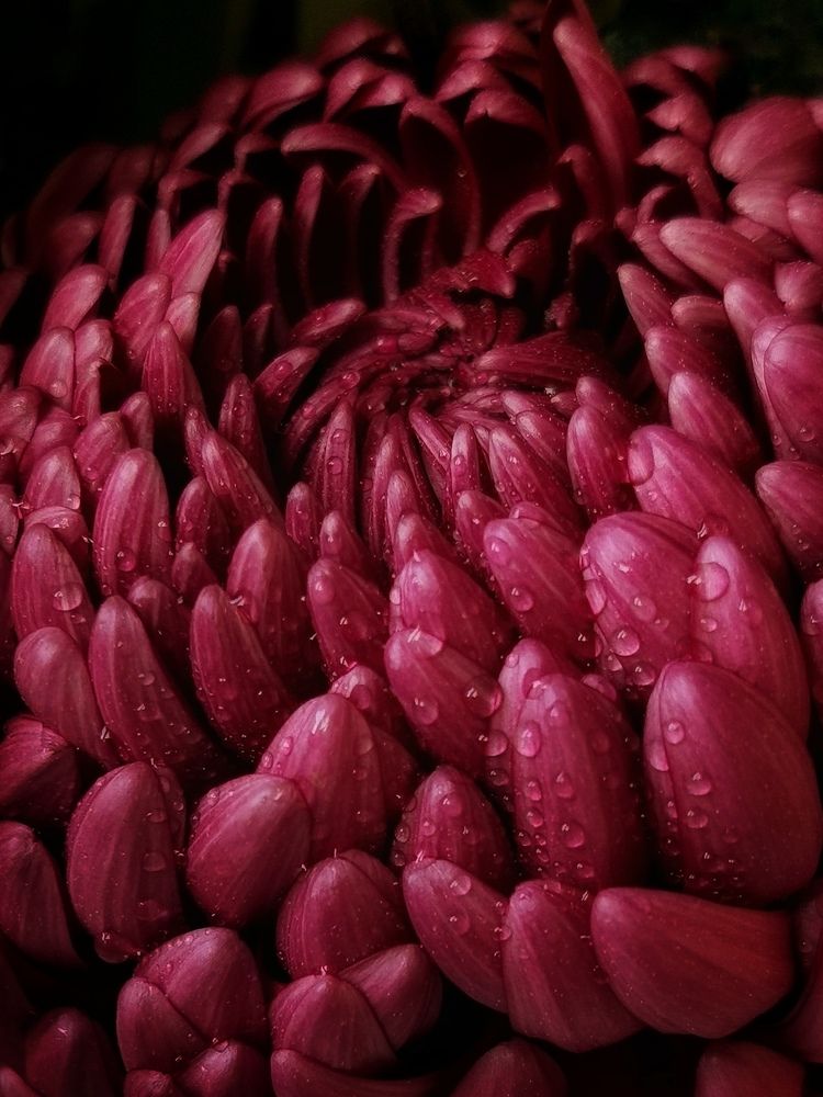 Photograph by Юлия Ледовская