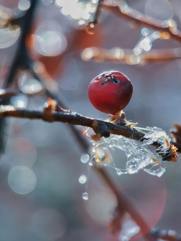 Photograph by Юлия Ледовская