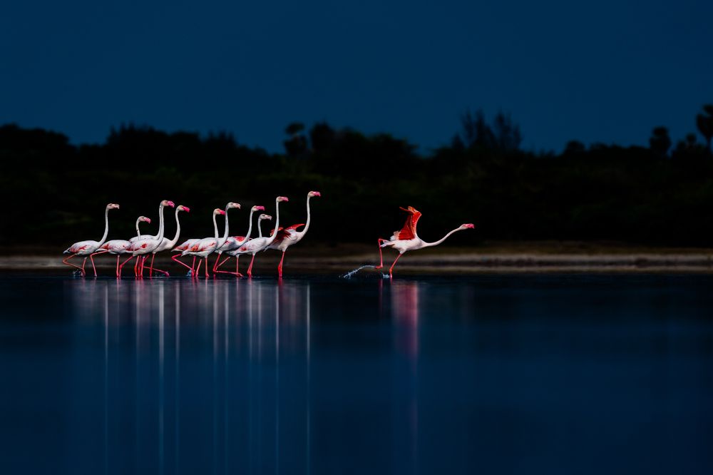 Photograph by Karthik Sriraman