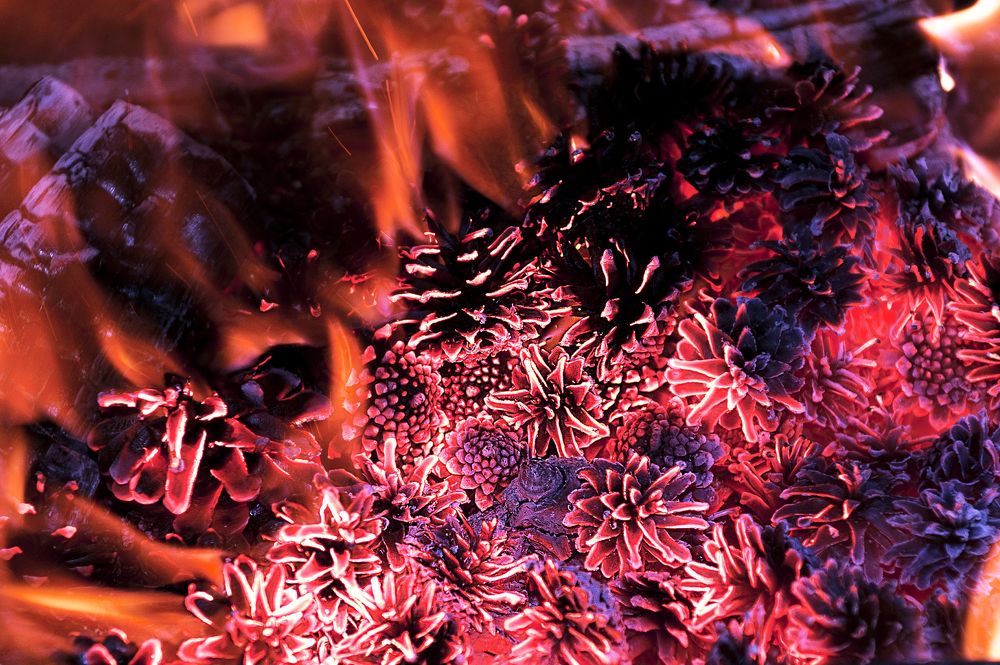 Photograph by Ястребцов Олег