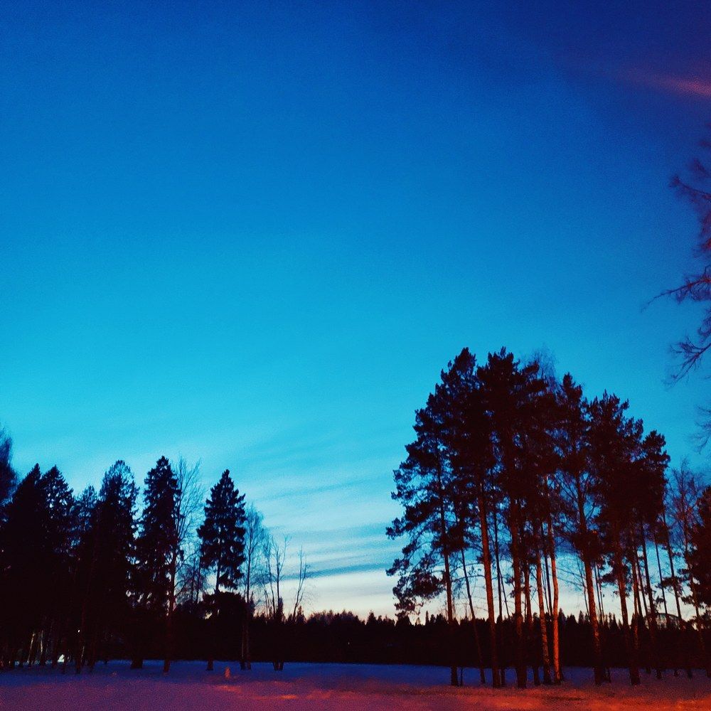 Photograph by Наталья Светлова