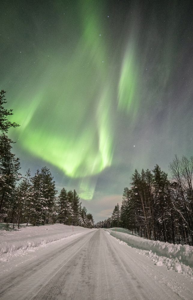 Photograph by Razvan Iliescu