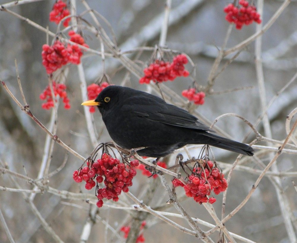 Photograph by Oksana