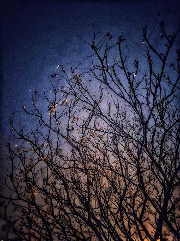 Фотография автора Ольга Игуменова