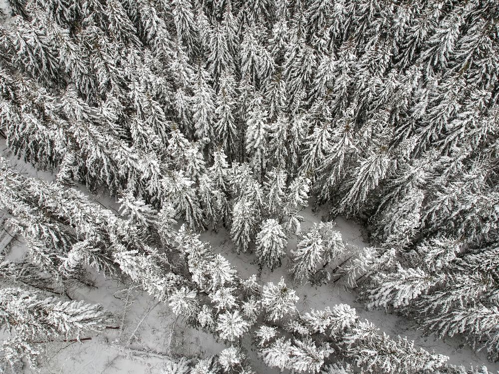 Photograph by Андрей Манаков