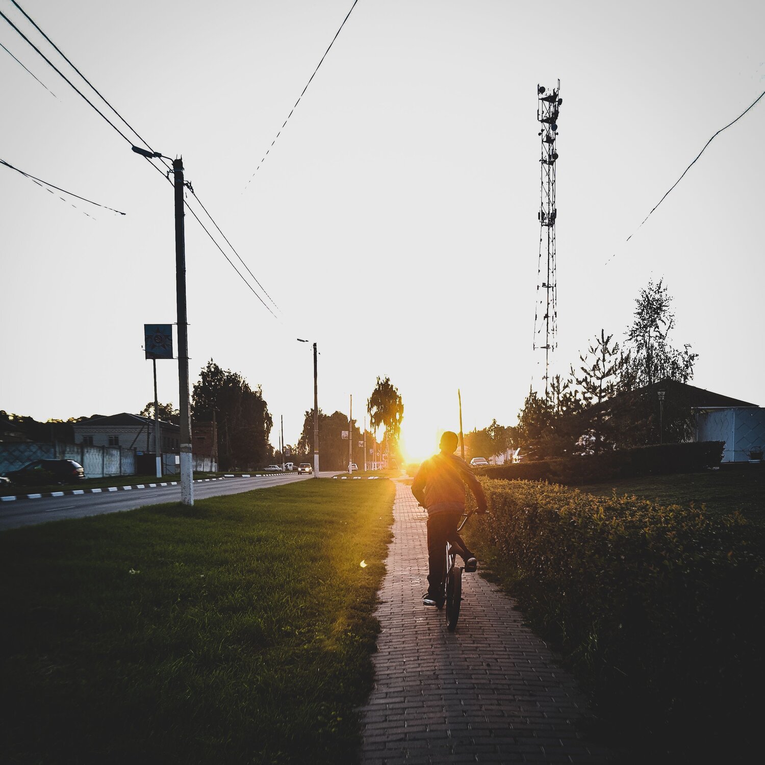 Photo #7307355