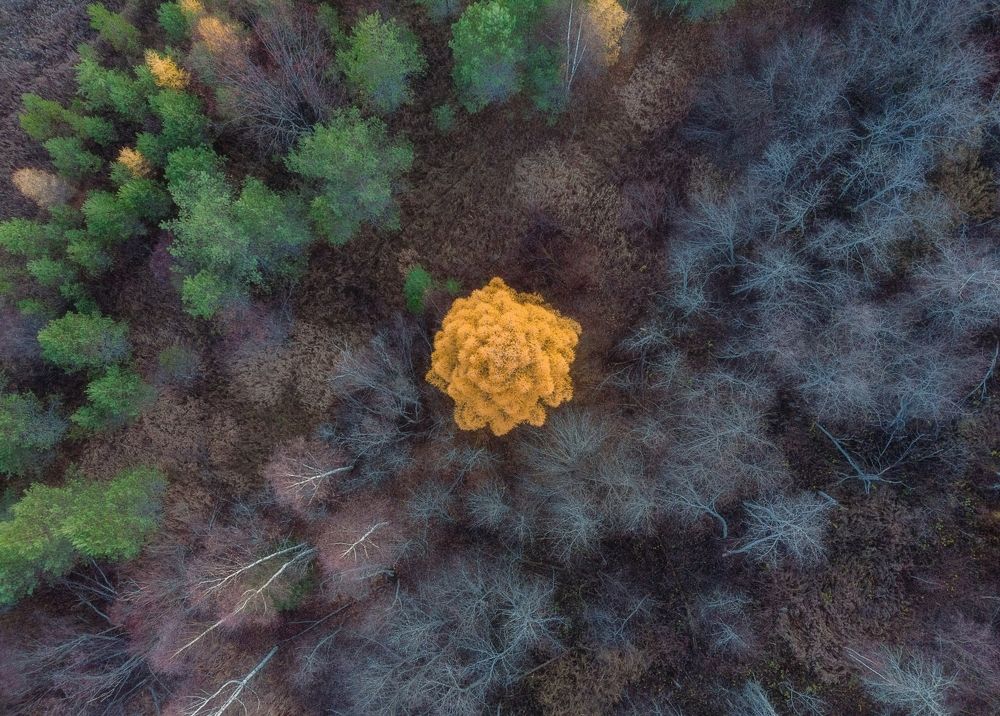 Photograph by  Михаил