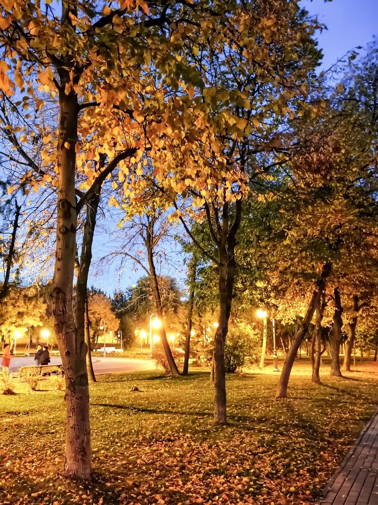 Photograph by Юлия Ледовская