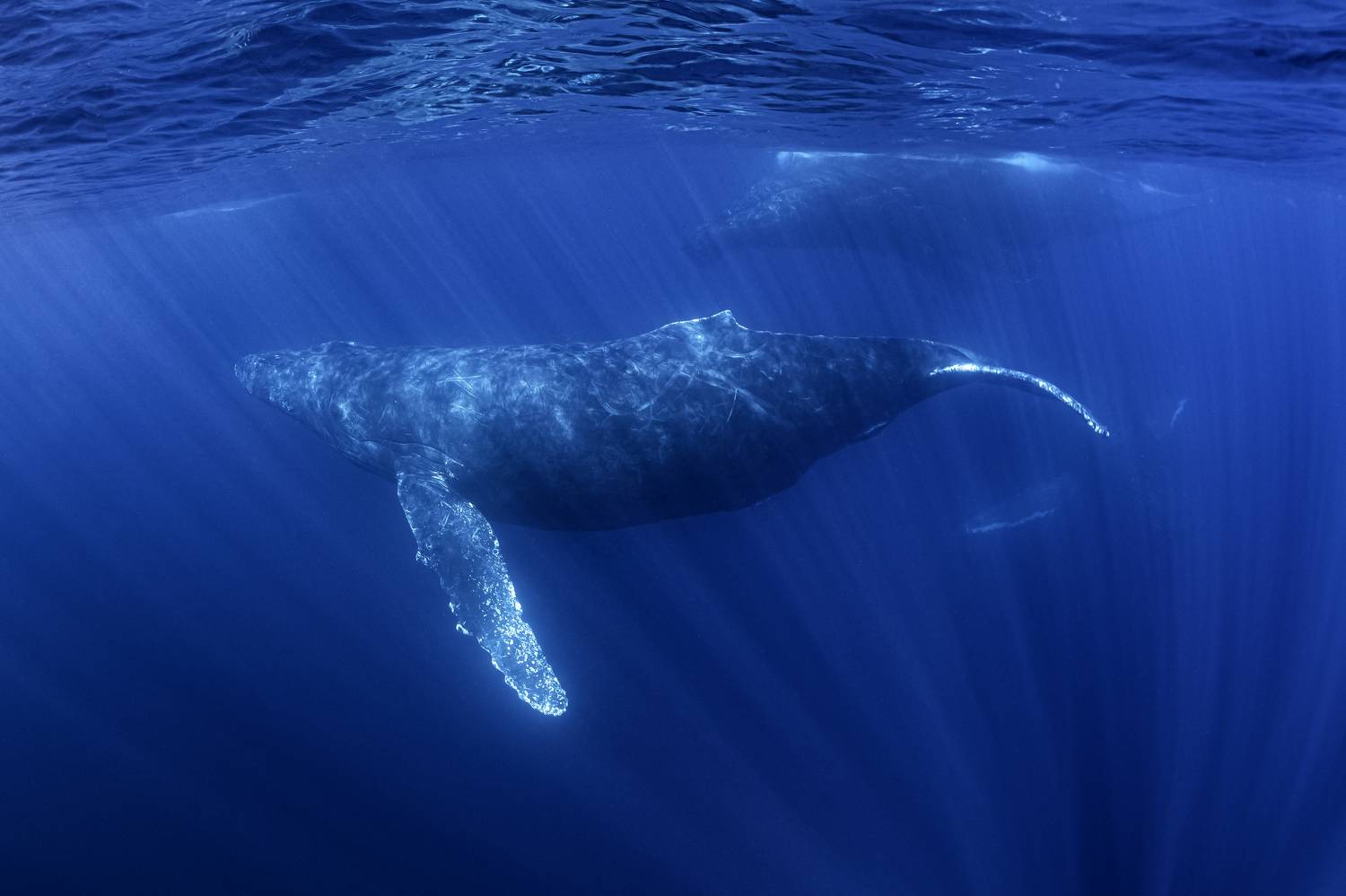 Фотография #7307369