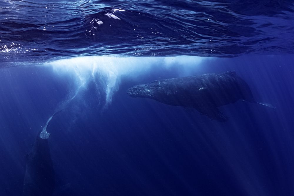 Photograph by Павел Чистяков