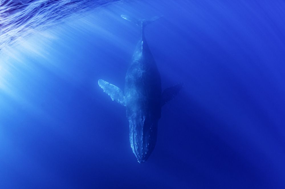 Photograph by Павел Чистяков