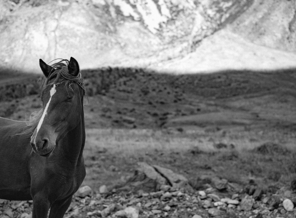 Photograph by Игорь Лобанов