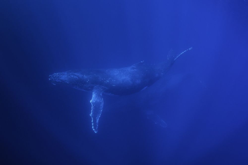 Photograph by Павел Чистяков