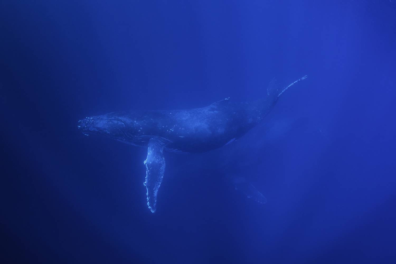 Фотография #7307452