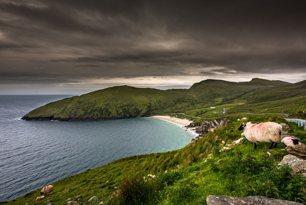 Photograph by Sebastian Oziomek