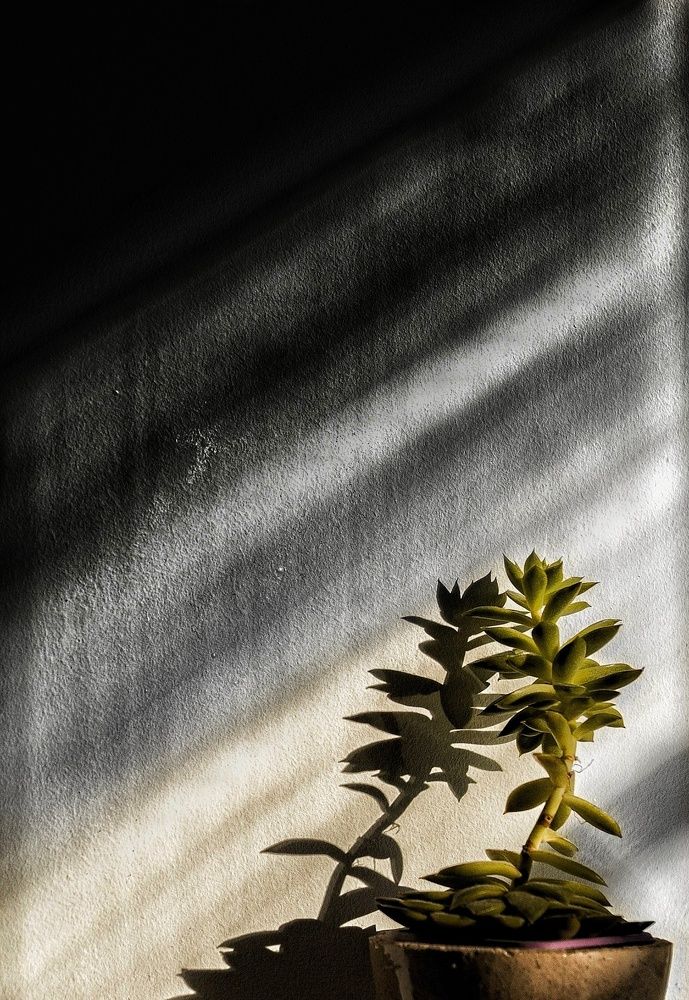 Photograph by Александр Быдрицкий